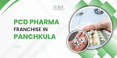 PCD Pharma Franchise in Panchkula 